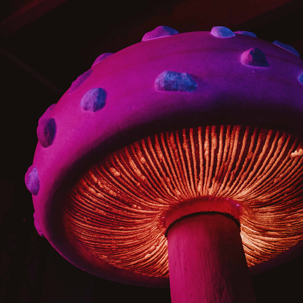 Dekorverket-Svamp dekor